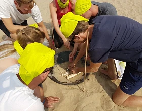 Expeditie Robinson Beach op het strand